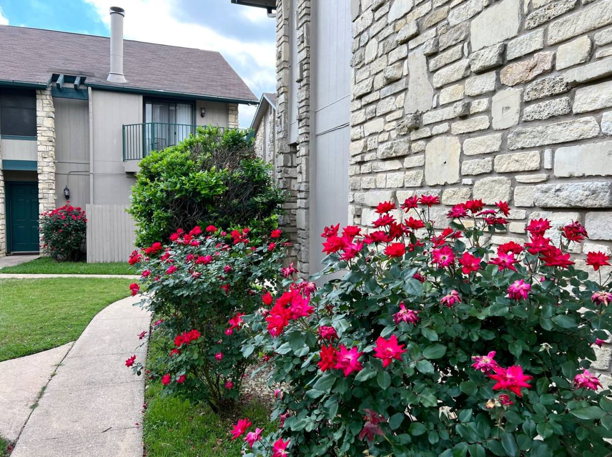 Townhouse for rent at 3601 Willow Springs Rd, Austin, TX 78704