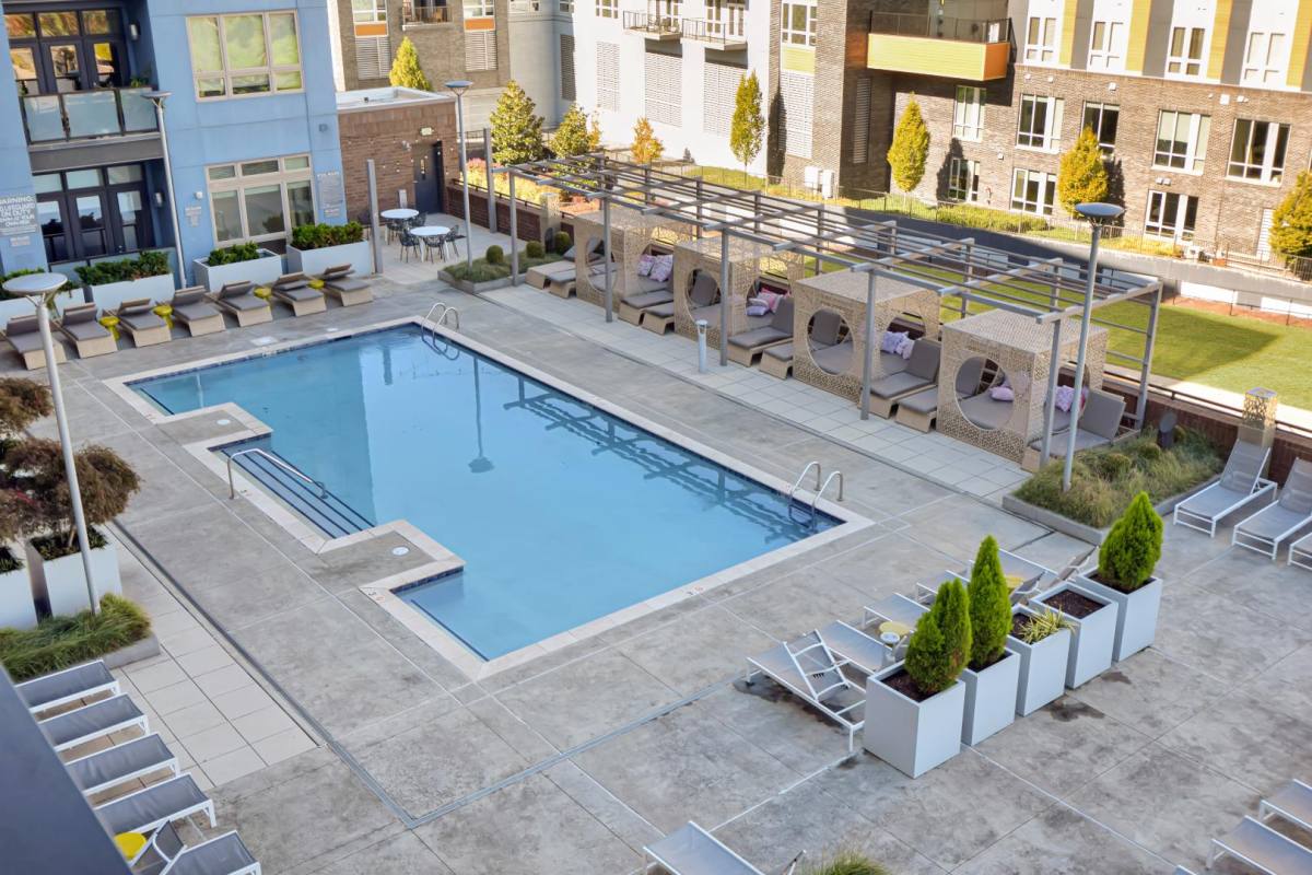 Apartment for rent at 650 E Brooklyn Village Ave #UPTOWN, Charlotte, NC 28202