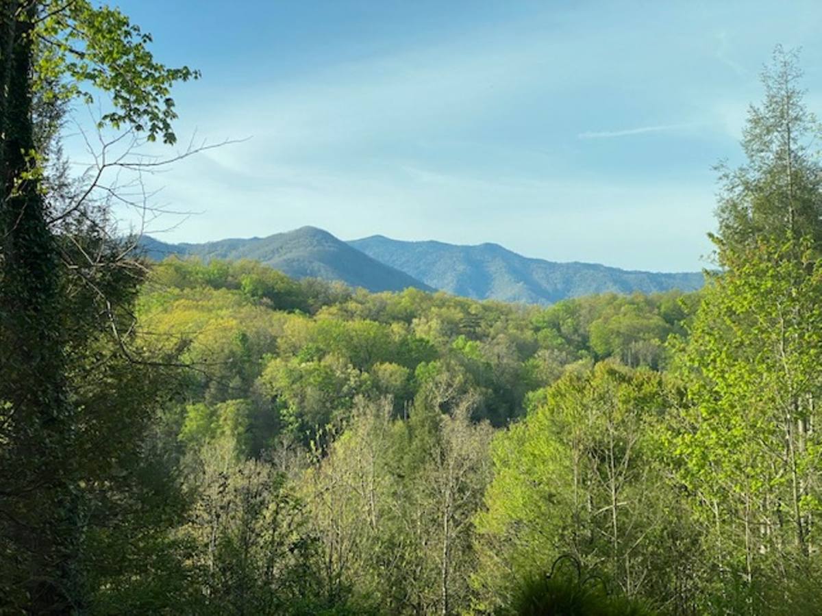 House for rent at 221 Woodland Rd -Unit 104 #104, Gatlinburg, TN 37738