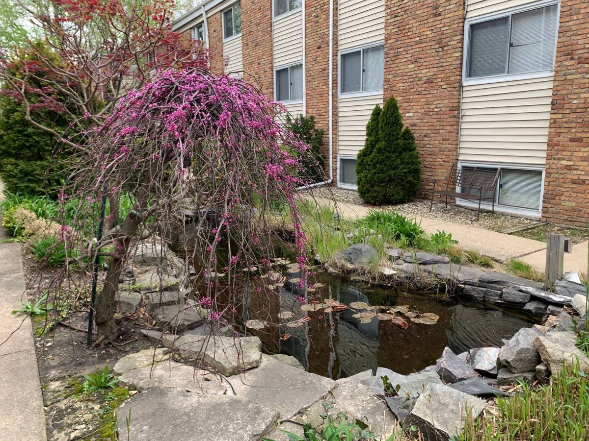 Apartment for rent at 1001 Francis Dr, Champaign, IL 61821