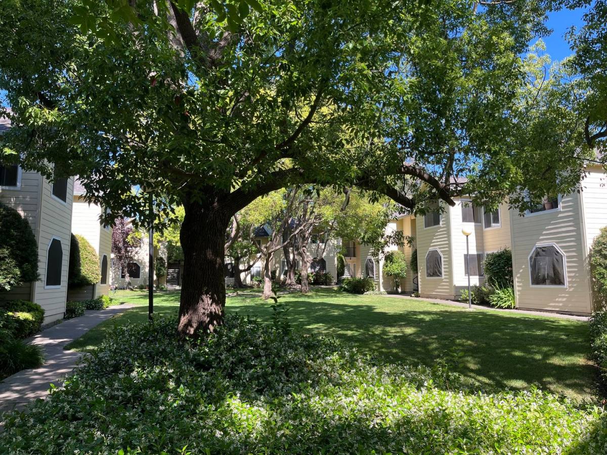 Apartment for rent at 234 Soscol Ave, Napa, CA 94559