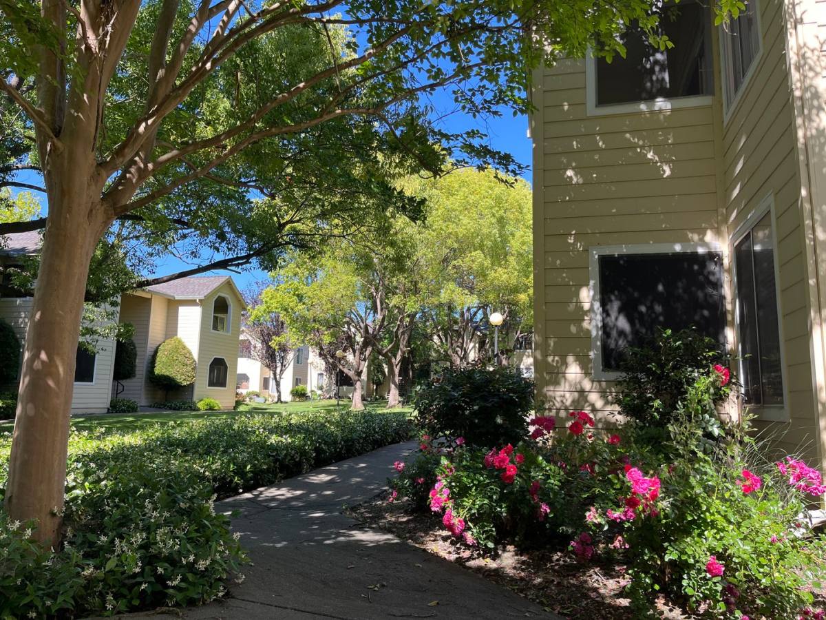 Apartment for rent at 234 Soscol Ave, Napa, CA 94559