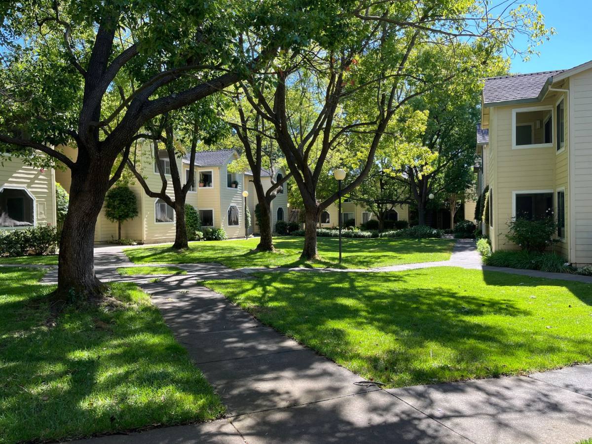 Apartment for rent at 234 Soscol Ave, Napa, CA 94559