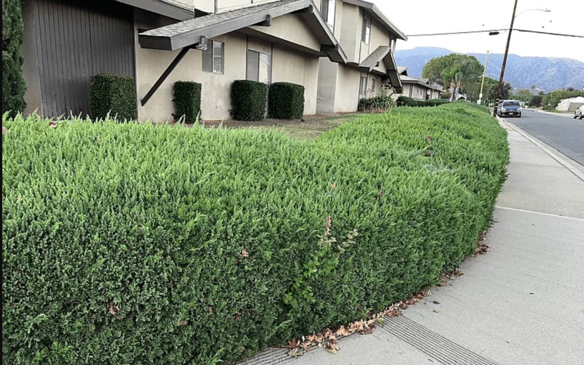 Apartment for rent at 2401 - 2423 Pattiglen Ave, La Verne, CA 91750