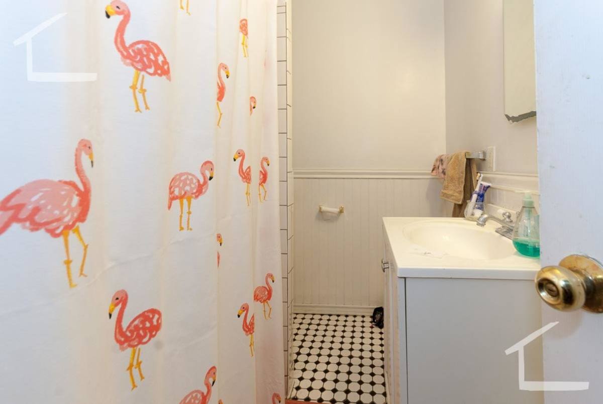 Apartment for rent at 56 Egmont St #A3, Brookline, MA 02446