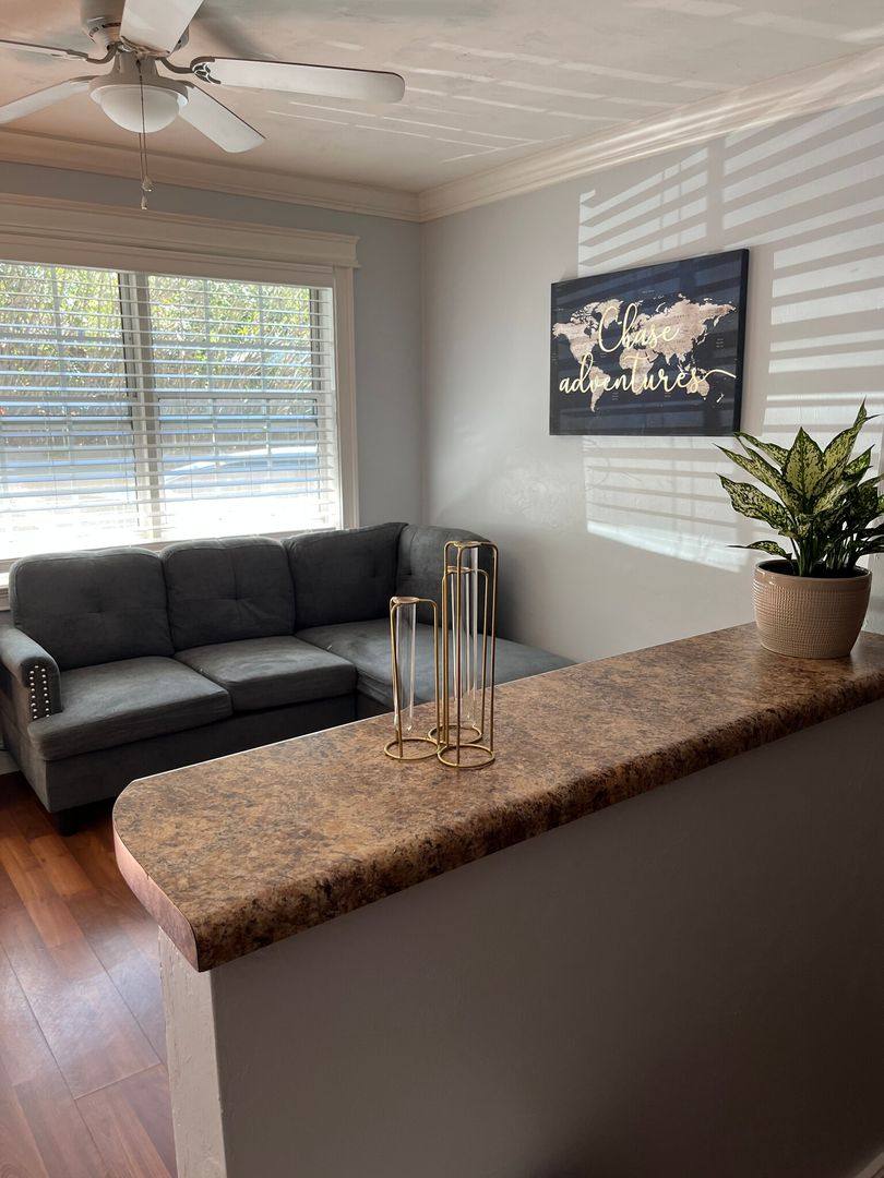 Apartment for rent at 119 Cadiz St, Tallahassee, FL 32301