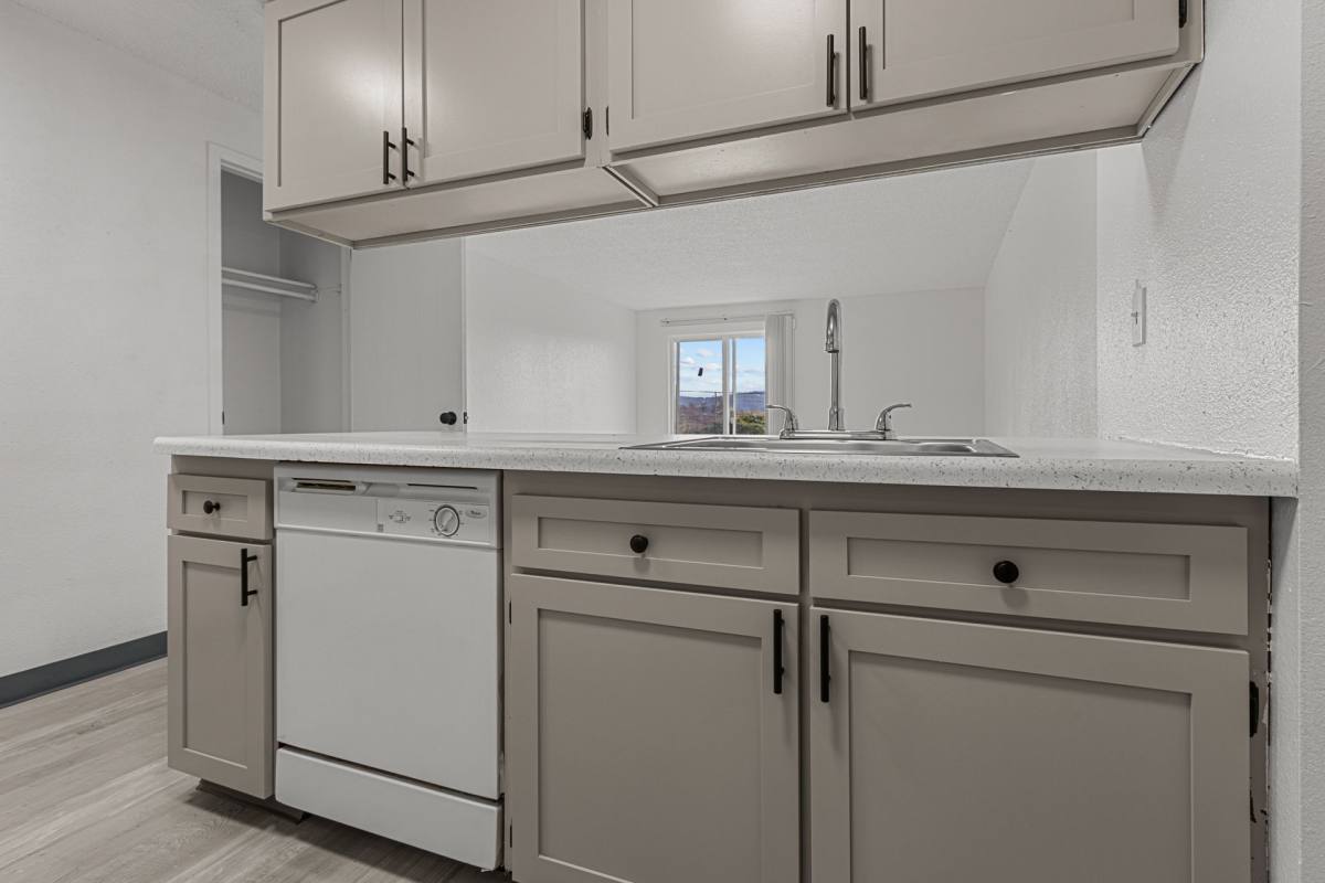 3117 E Marietta Ave, Spokane, WA 99207 - Apartment For Rent - Image 4