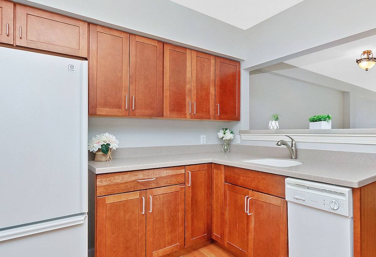 Condo for rent at 59 Brainerd Rd #404, Allston, MA 02134