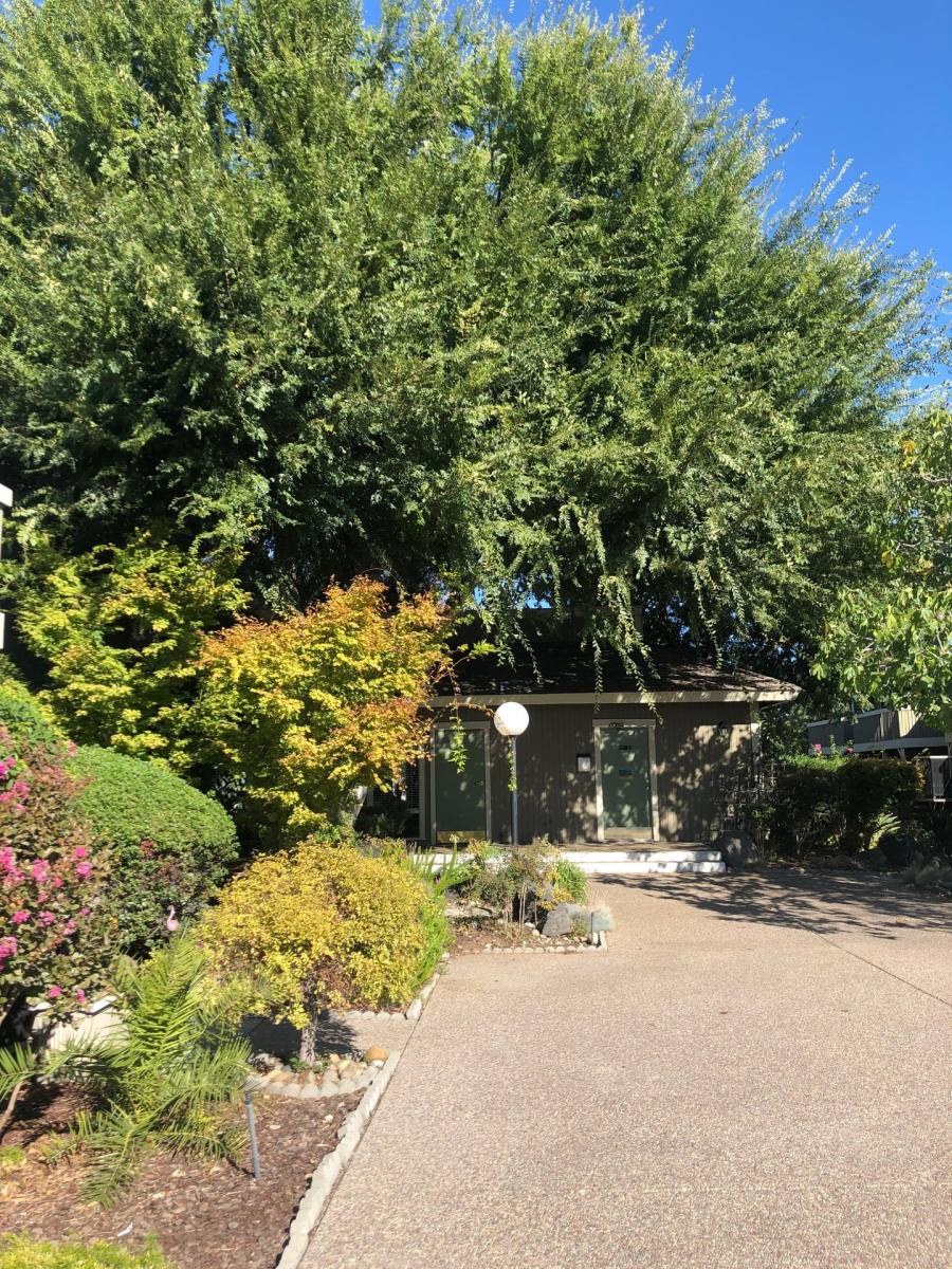 Apartment for rent at 777 S Mathilda Ave, Sunnyvale, CA 94087