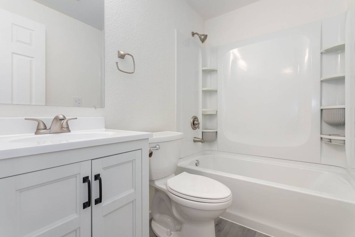 Apartment for rent at 621 32nd St, Bellingham, WA 98225