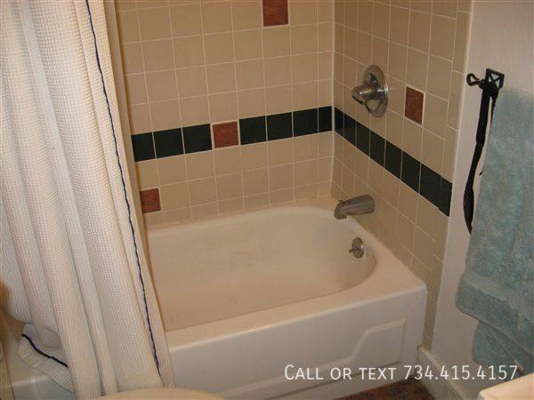 Apartment for rent at 537 S 4th Ave #1, Ann Arbor, MI 48104