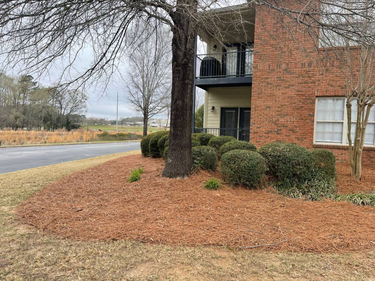Apartment for rent at 3297 S College St #G103, Auburn, AL 36830