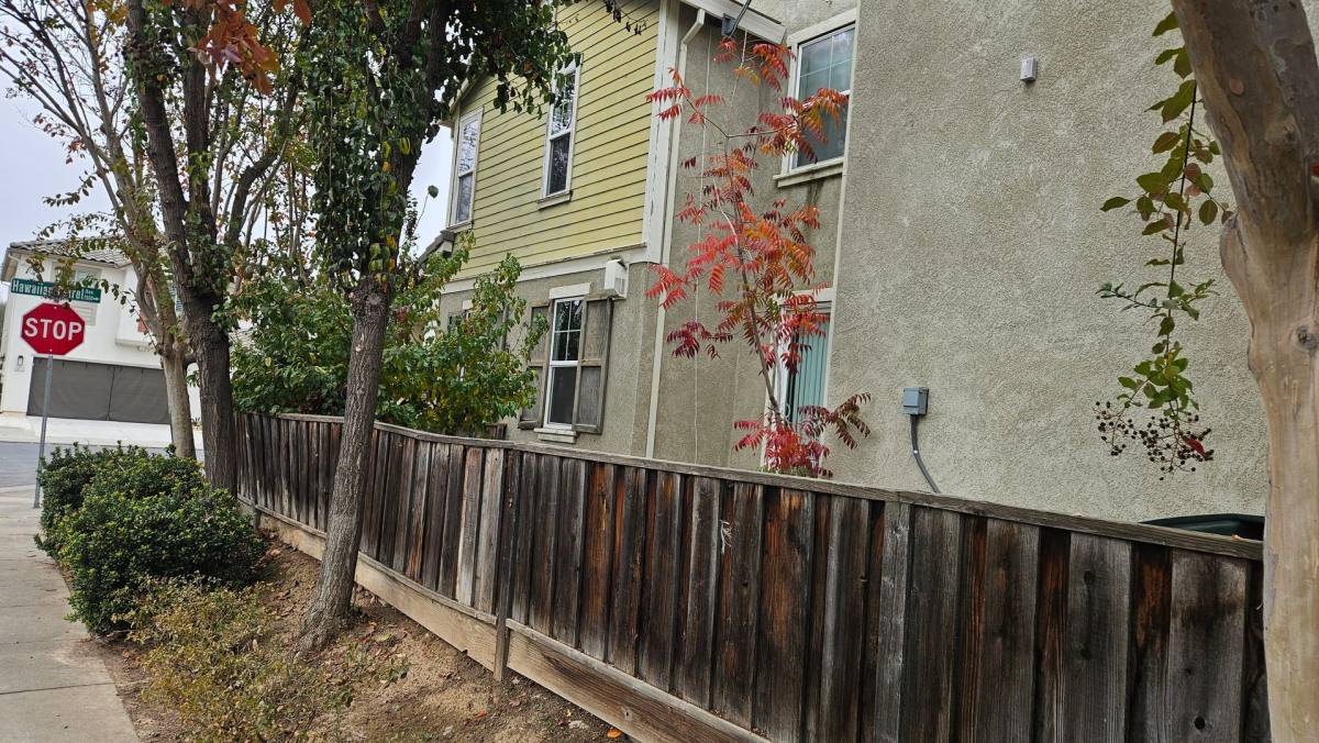 Apartment for rent at 2612-2612 1 2 Hawaiian Petrel Ave, Modesto, CA 95355