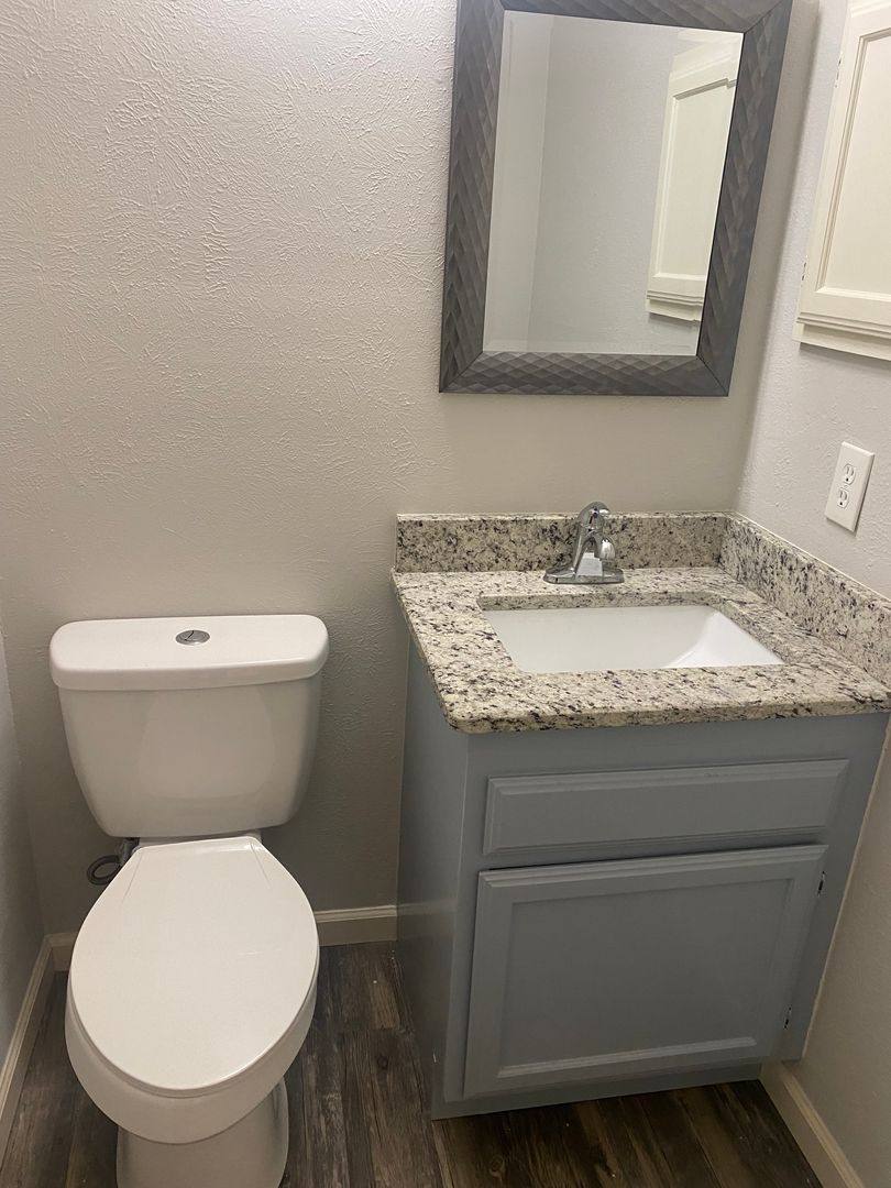 House for rent at 318 Spanish Moss, Arlington, TX 76018