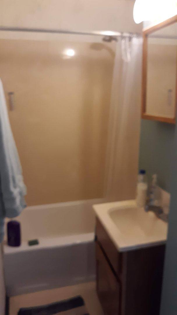 Apartment for rent at 601 W Springfield, Champaign, IL 61820