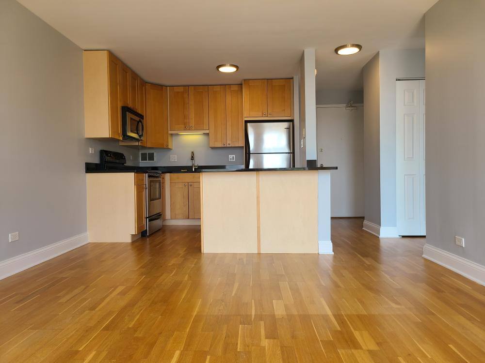 Apartment for rent at 450 W Briar Place #7A, Chicago, IL 60657