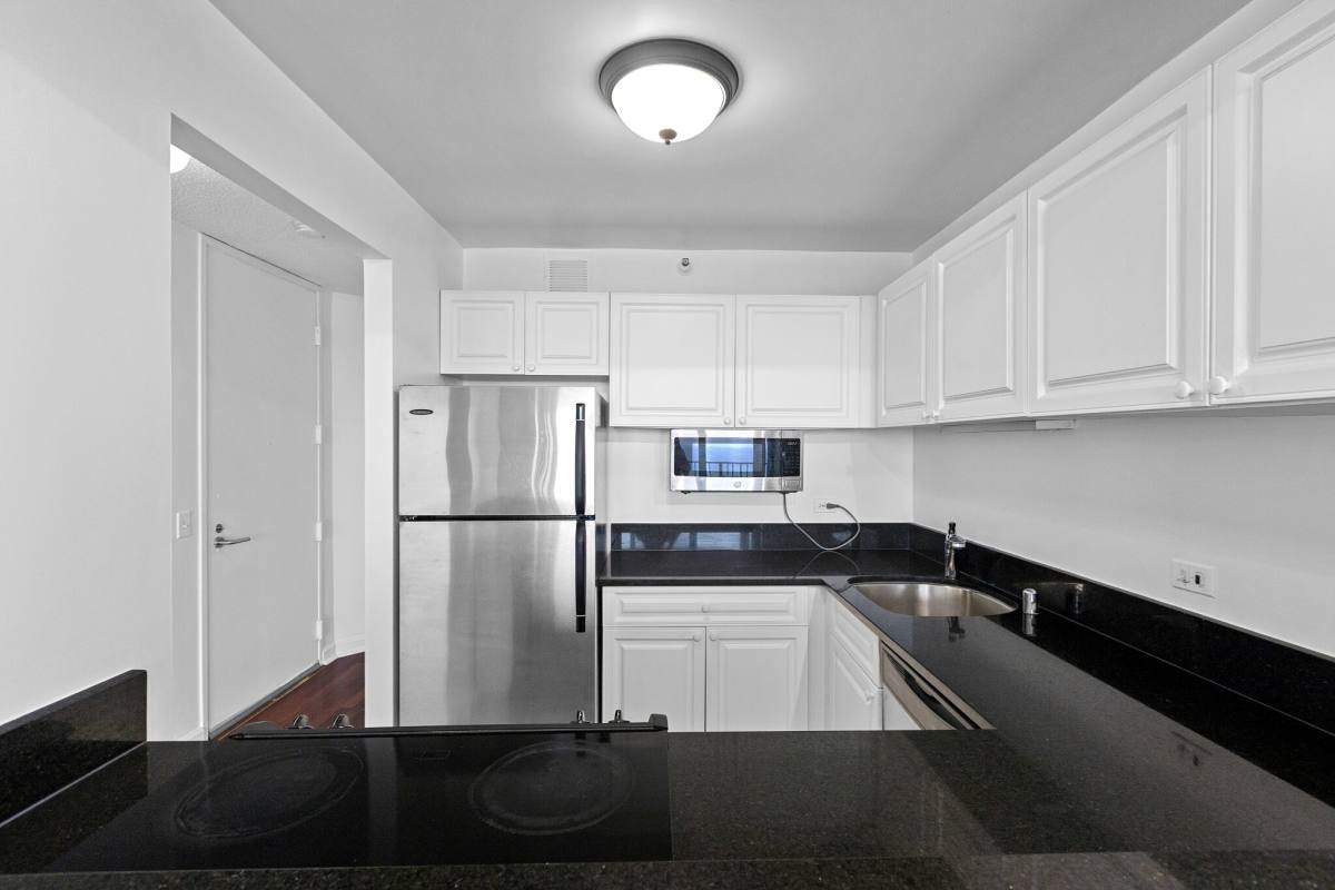 Condo for rent at 3660 Lakeshore #4410F, Chicago, IL 60613