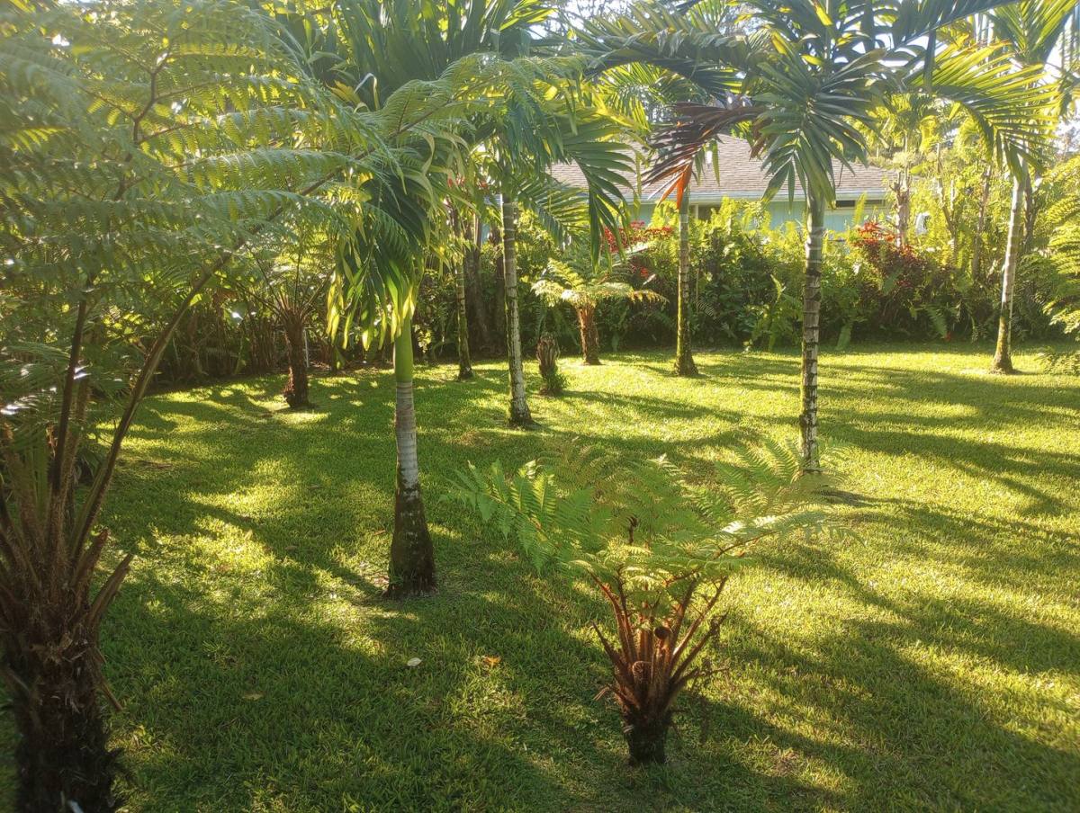 House for rent at 15-2796 Aweoweo St, Pahoa, HI 96778