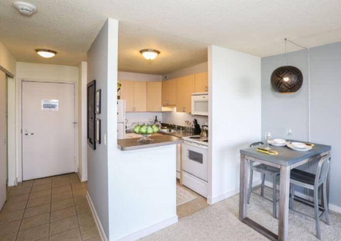 Apartment for rent at 1212 S Michigan #202, Chicago, IL 60605