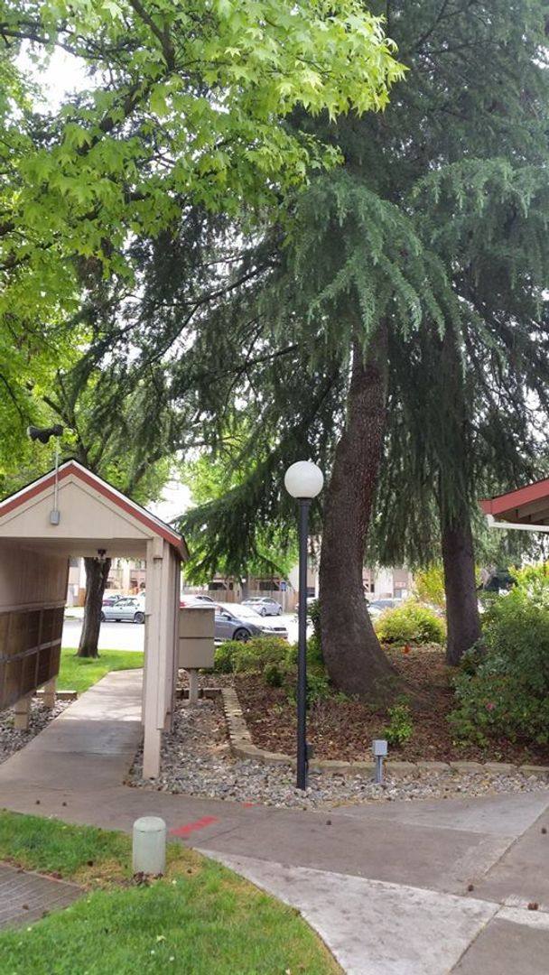 Apartment for rent at 1425 Nord Ave, Chico, CA 95926