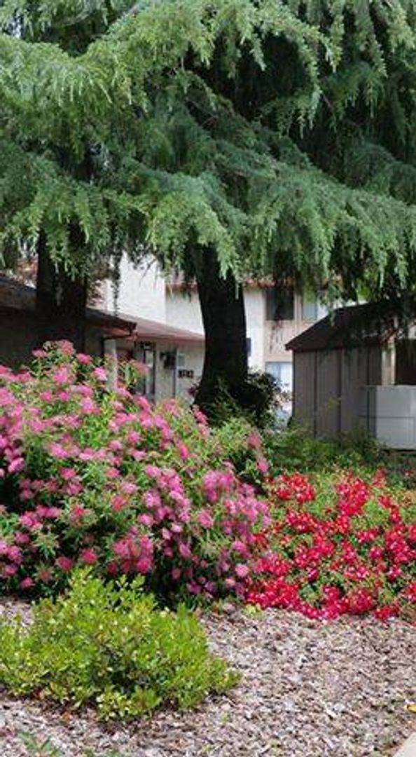 Apartment for rent at 1425 Nord Ave, Chico, CA 95926