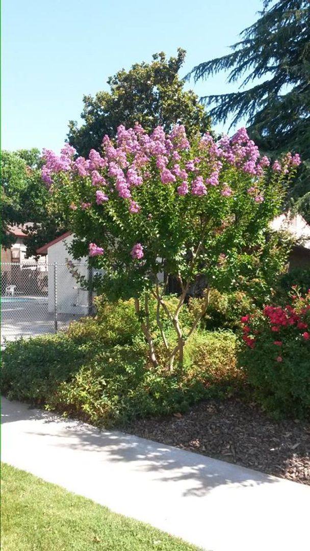 Apartment for rent at 1425 Nord Ave, Chico, CA 95926