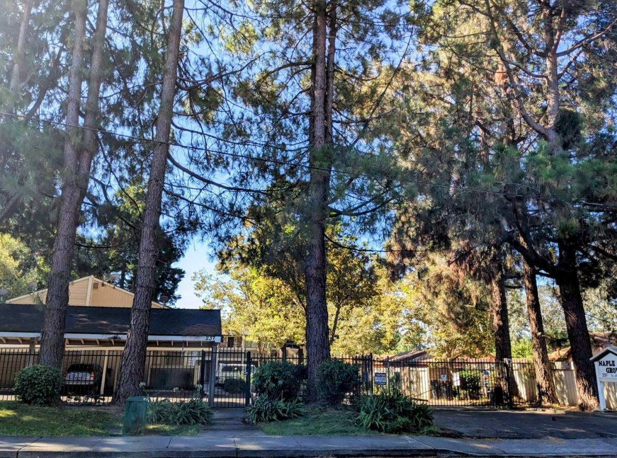 Apartment for rent at 237 Alaska Ave, Fairfield, CA 94533