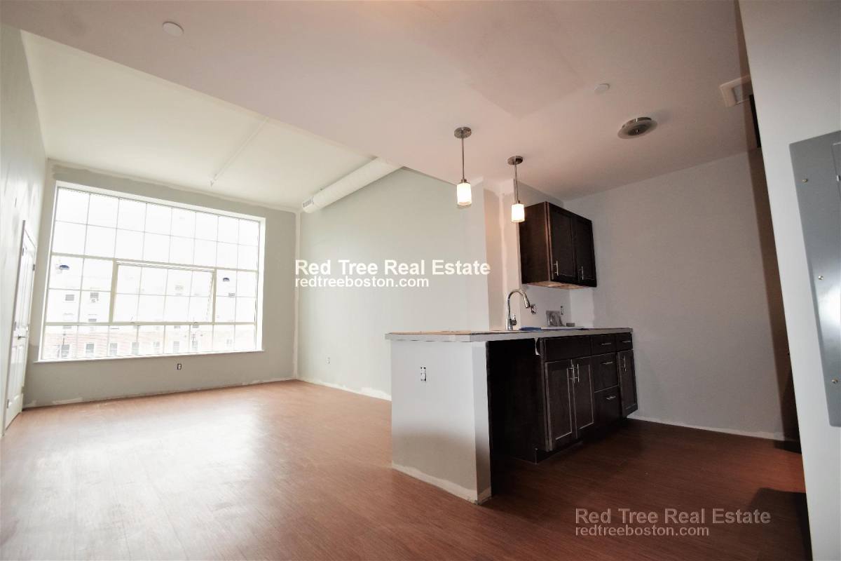 Apartment for rent at 9 Williams St #310, Roxbury, MA 02119