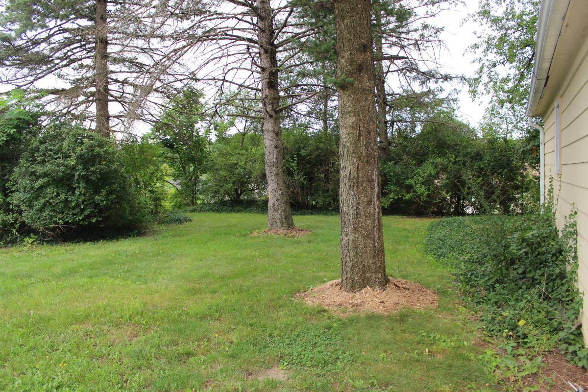 House for rent at 1332 Sutherland Ave, Kalamazoo, MI 49006