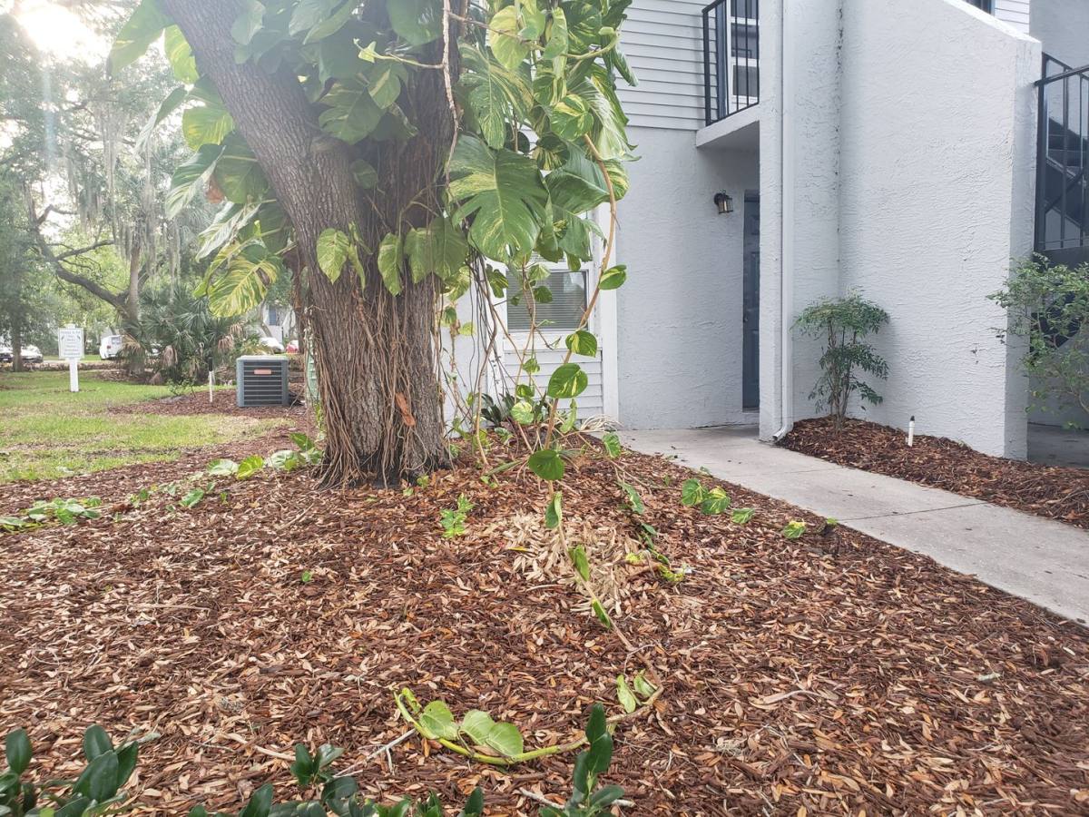 Condo for rent at 7100 Waterside Dr, Tampa, FL 33617