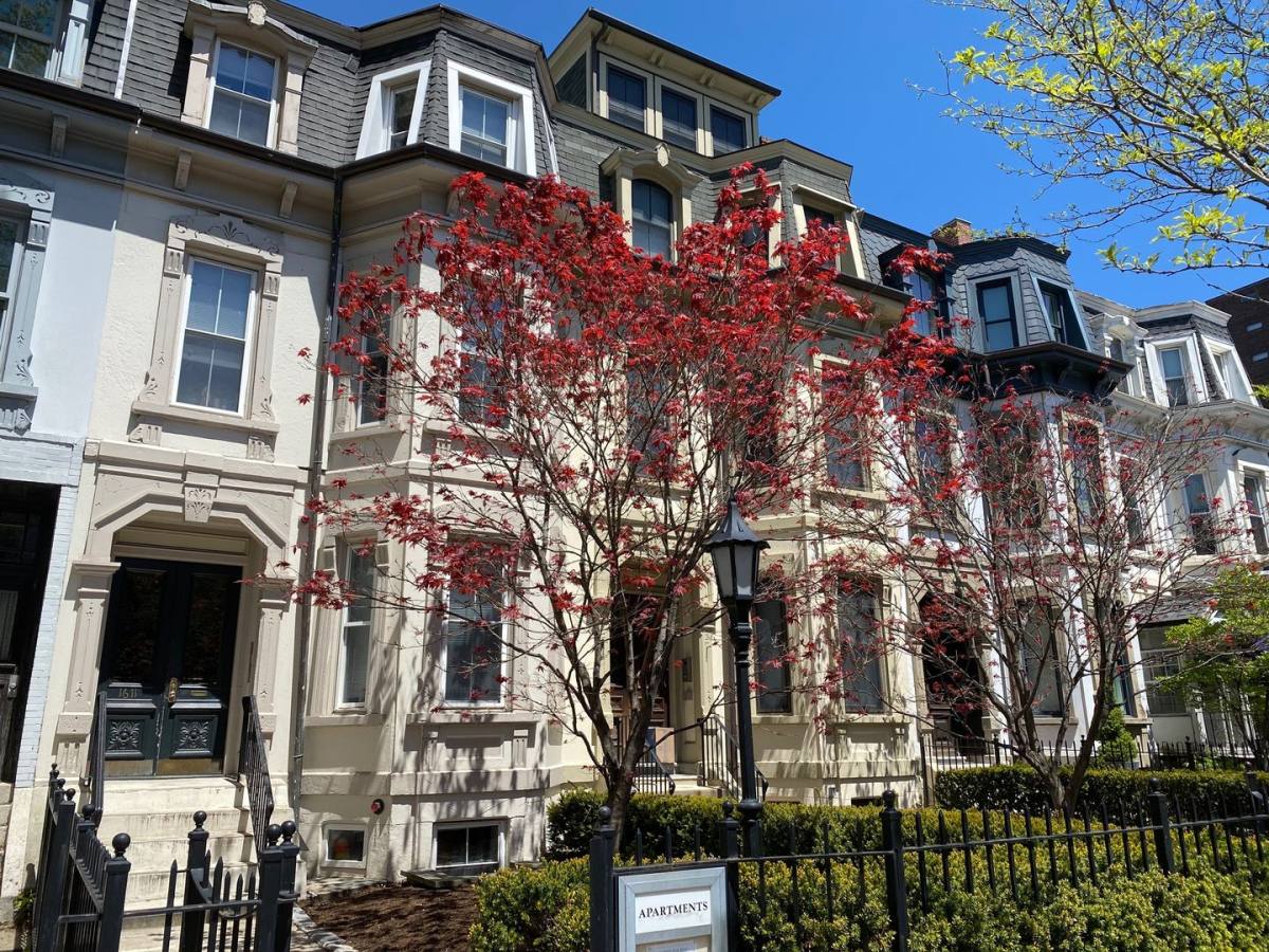 Apartment for rent at 1611 Tremont St #3, Roxbury Crossing, MA 02120