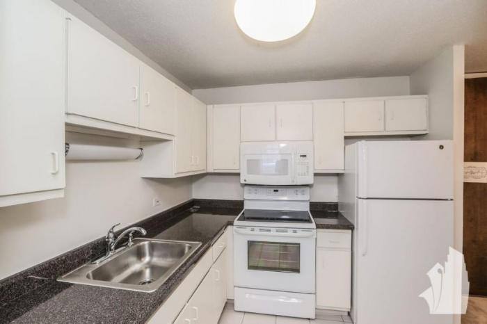 Apartment for rent at 65 E Scott #6510C, Chicago, IL 60611