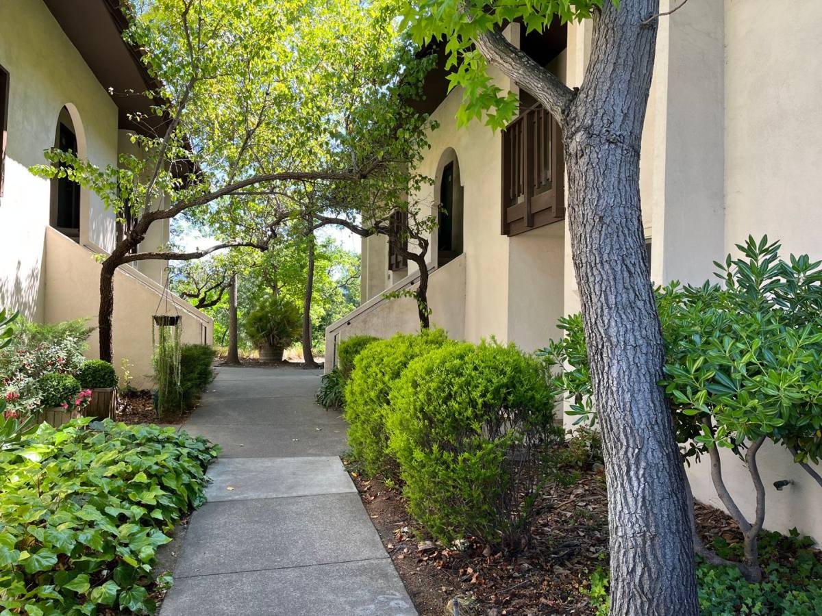 Apartment for rent at 1217 Montego, Walnut Creek, CA 94598