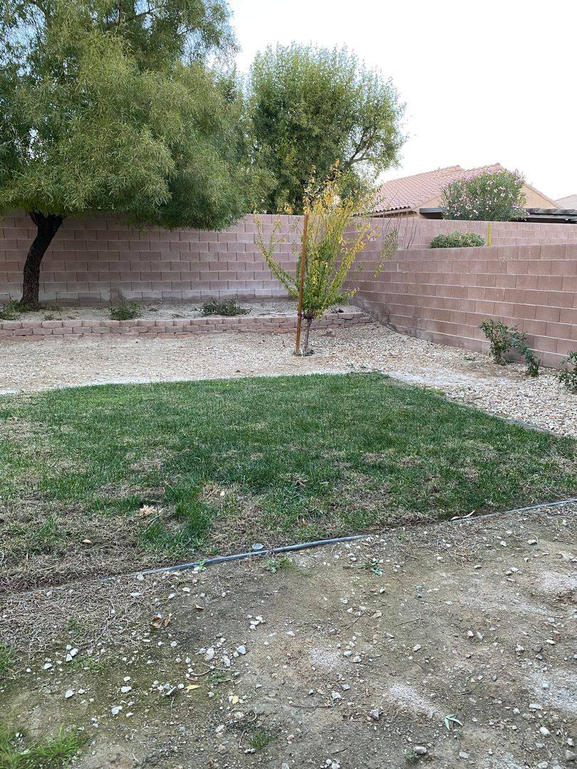 House for rent at 2820 Dowitcher Ave, North Las Vegas, NV 89084