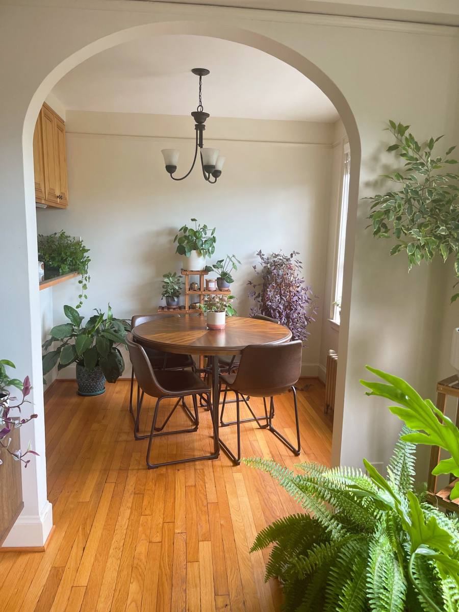 Apartment for rent at 66 Summer St, Buffalo, NY 14209