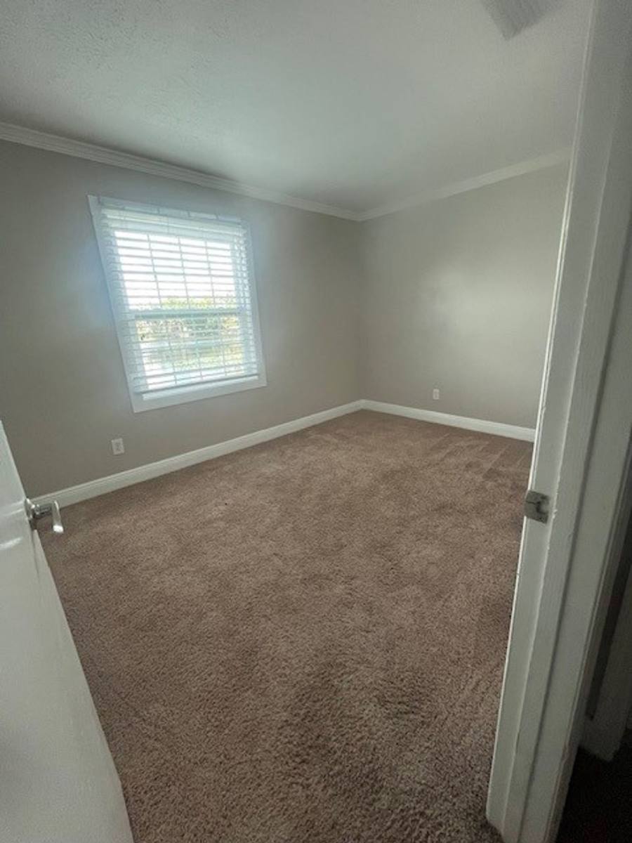Apartment for rent at 2539 Cedar Cypress Court, Tampa, FL 33618