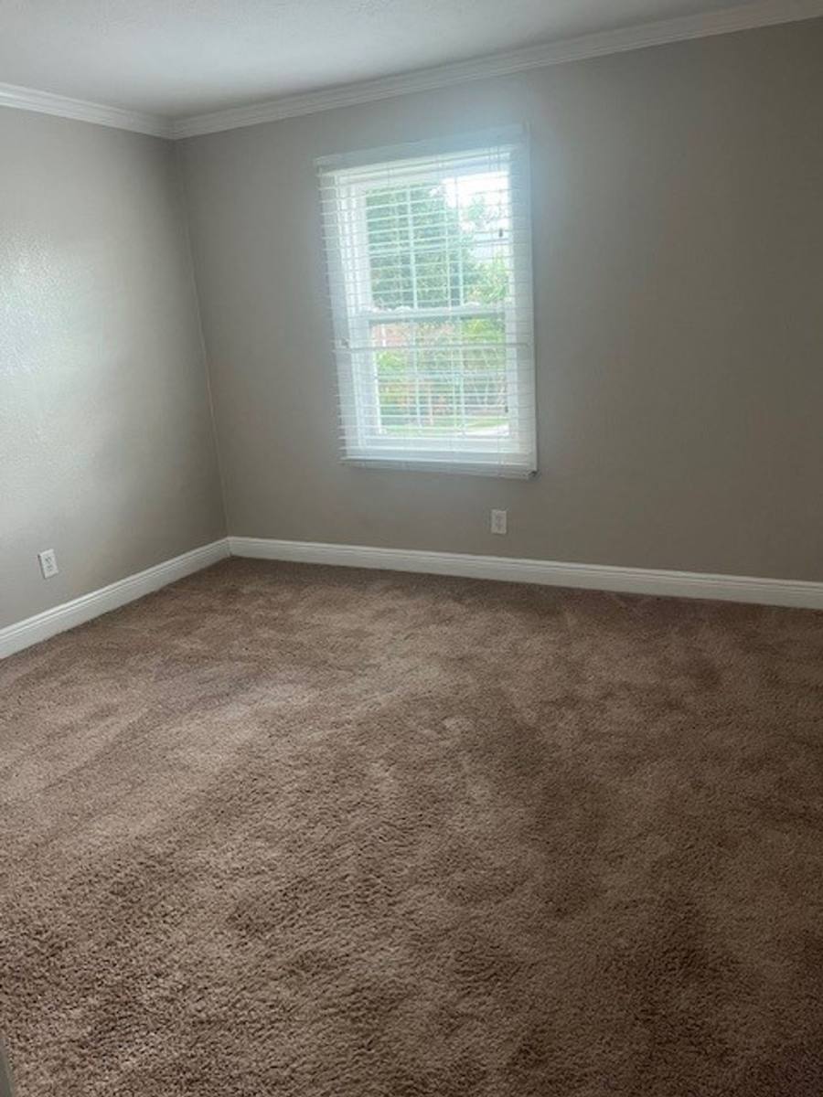 Apartment for rent at 2539 Cedar Cypress Court, Tampa, FL 33618