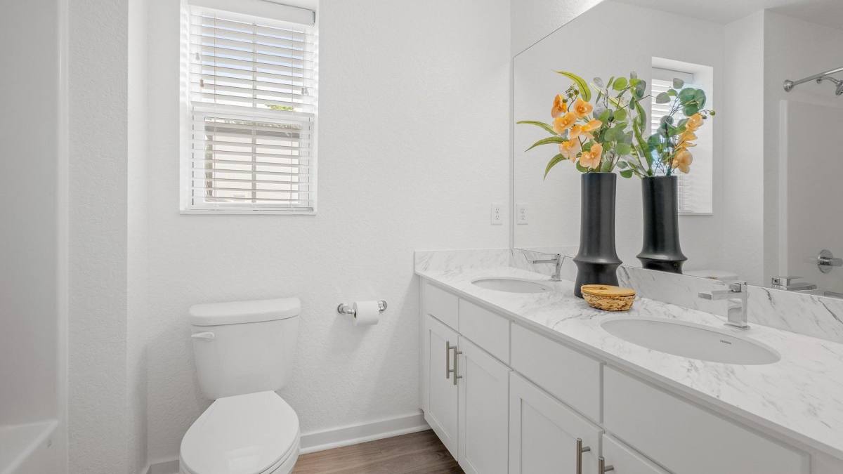 Apartment for rent at 6576 White Lodge Point #7479, Colorado Springs, CO 80923