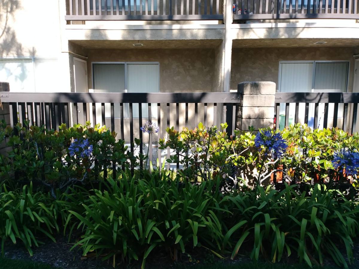 Apartment for rent at 2561 Madera Circle, Port Hueneme, CA 93041