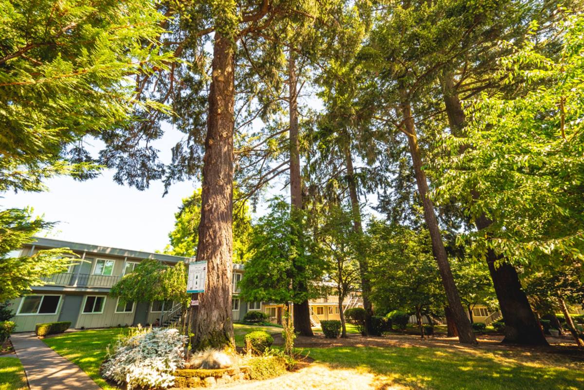 Apartment for rent at 1538 SE 122nd Ave, Portland, OR 97233