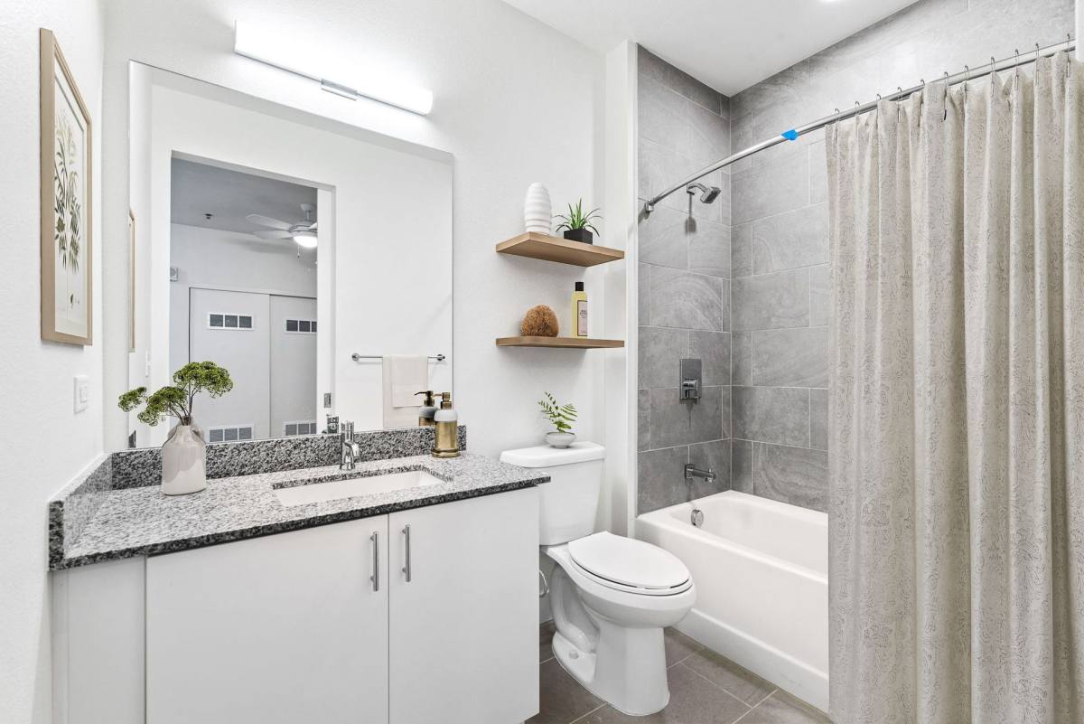 Apartment for rent at 3701 Marion St, Denver, CO 80205