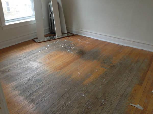 Apartment for rent at 1644 W Pratt Blvd #2G, Chicago, IL 60626
