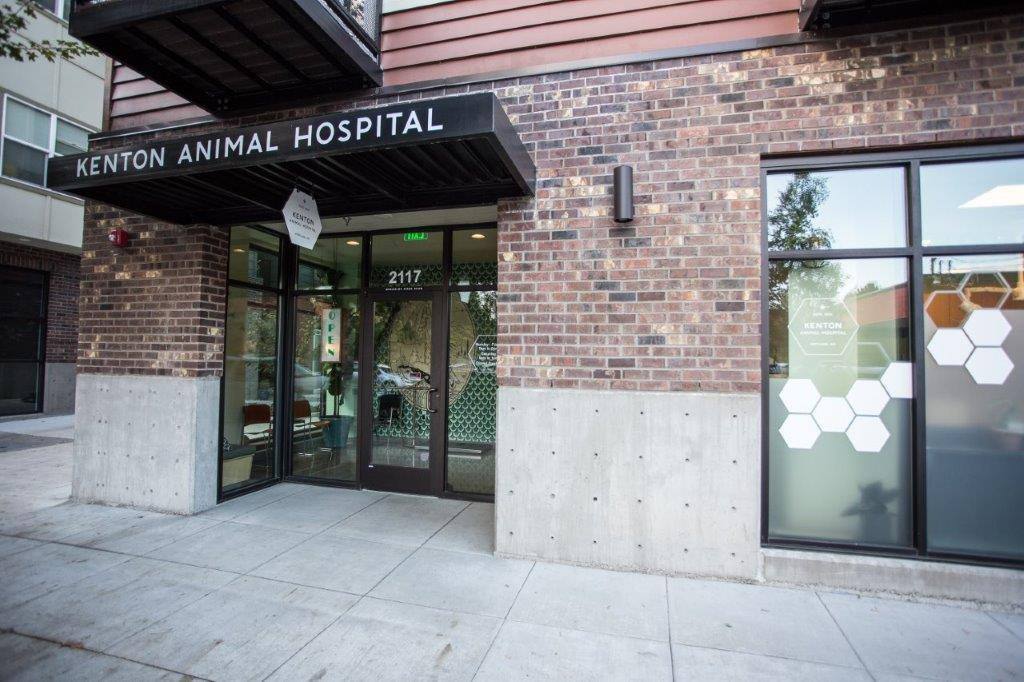 Apartment for rent at 8408 N Brandon Ave #213, Portland, OR 97217