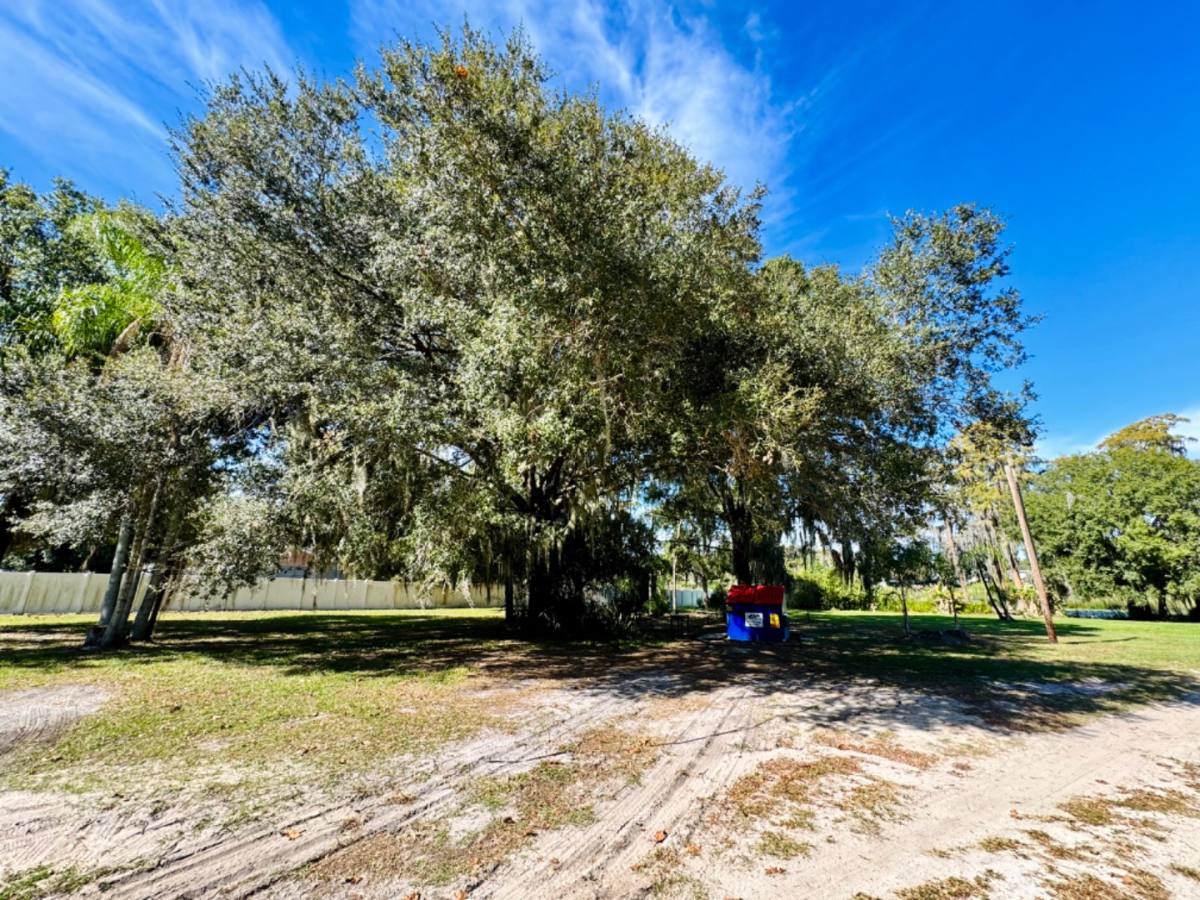 Apartment for rent at 4922 Addessi Loop #4924, Land O Lakes, FL 34638