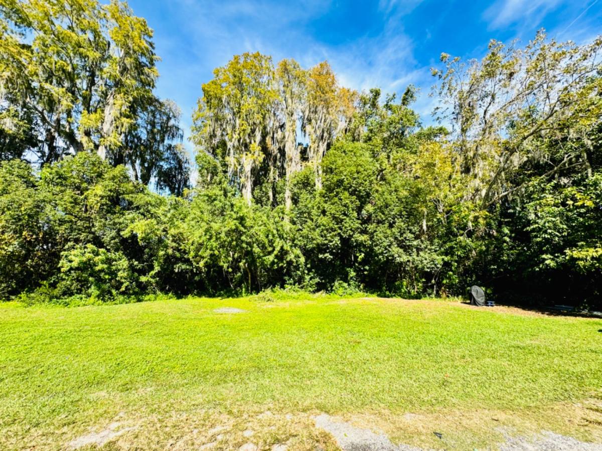 Apartment for rent at 4924 Addessi Loop #4922, Land O Lakes, FL 34638
