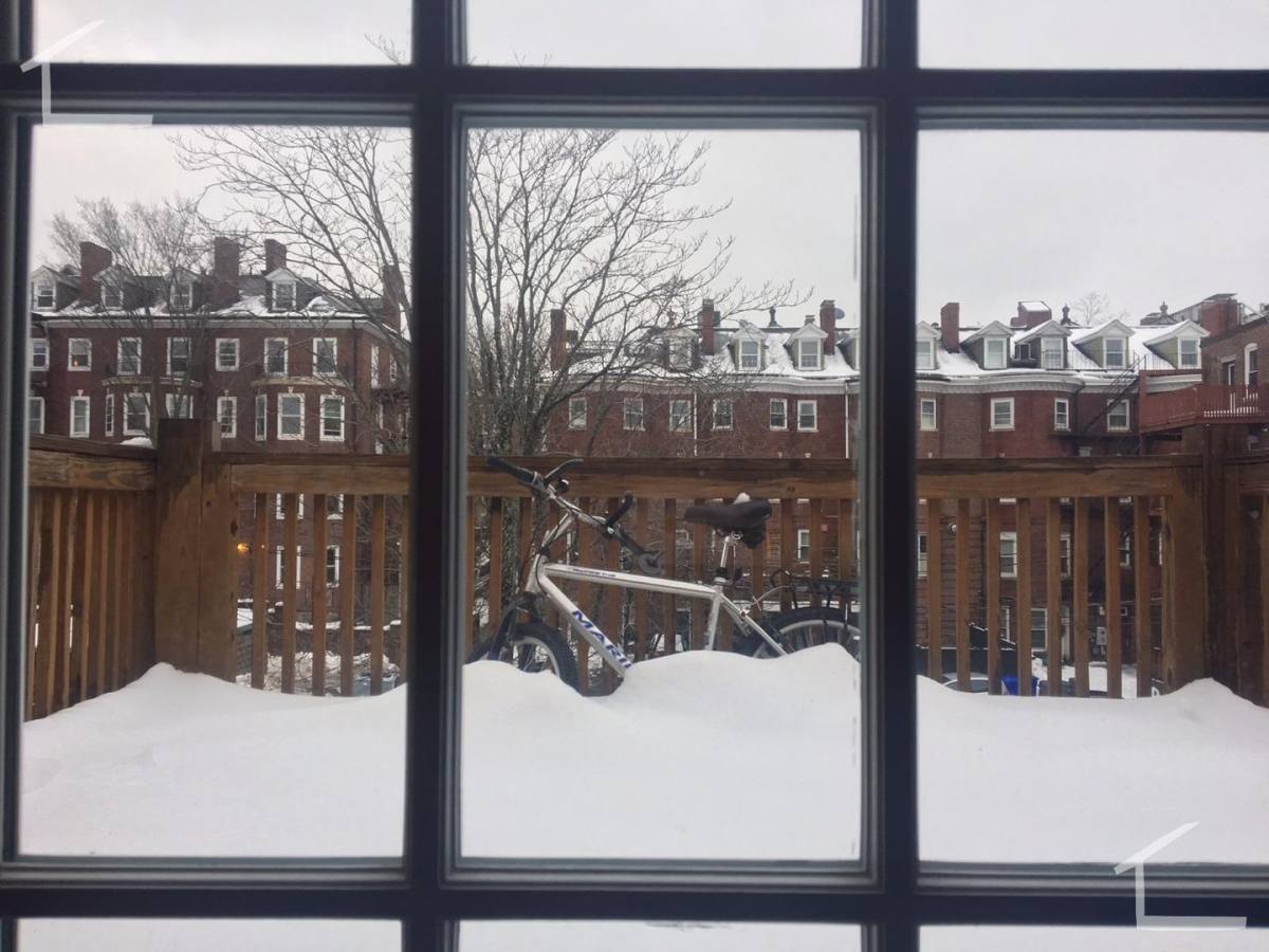 House for rent at 1683 Beacon St #3C, Brookline, MA 02445