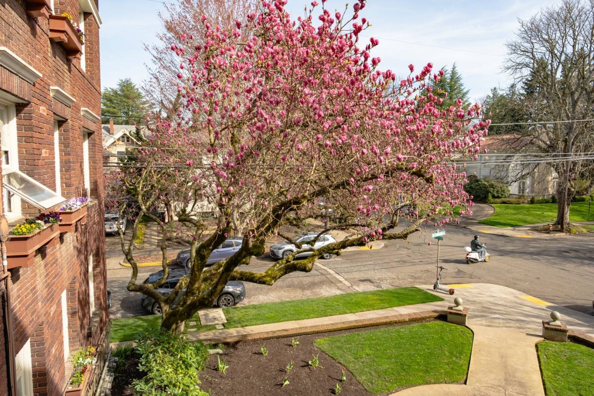 Apartment for rent at 2170 NE Hancock St, Portland, OR 97212