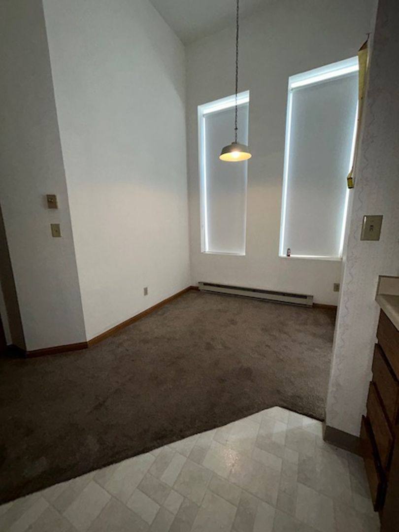 Apartment for rent at 120 Maine Ave, Adrian, MN 56110