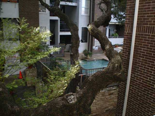 Condo for rent at 700 S 1st #208, Austin, TX 78704