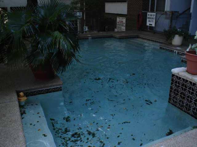 Condo for rent at 700 S 1st #208, Austin, TX 78704